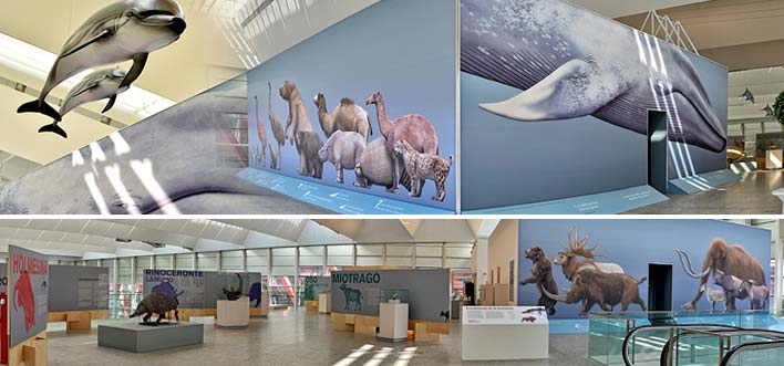 Museo de la Evolución Humana - Se Fueron con el Viento_Exposición Temporal